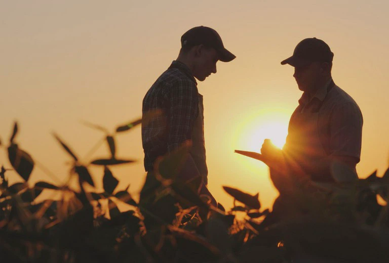 dwóch rolników na polu w tle zachodzącego słońca