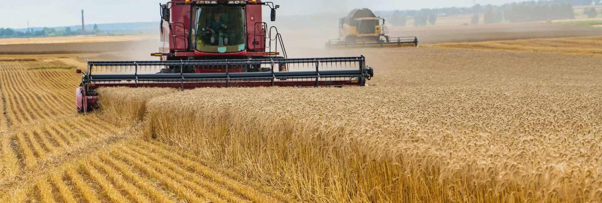 kombajn ścinający zboże